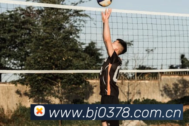 巅峰国际app注册登录发展历程